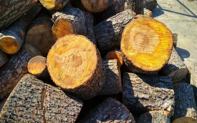 Дрова ольховые