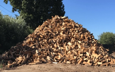 Дрова сосновые