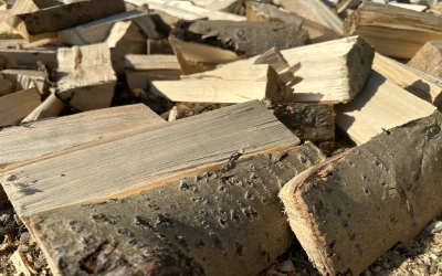 Дрова осиновые